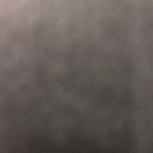 Meet your Posher, Allie